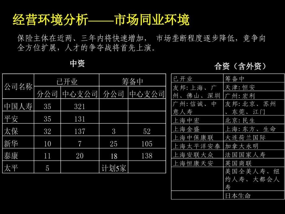 2019年麦肯锡—平安保险2002工作计划报告_第5页