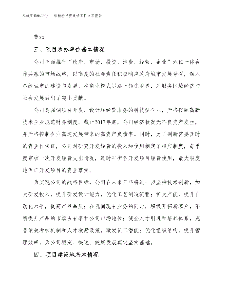 铜精粉投资建设项目立项报告(规划申请).docx_第2页