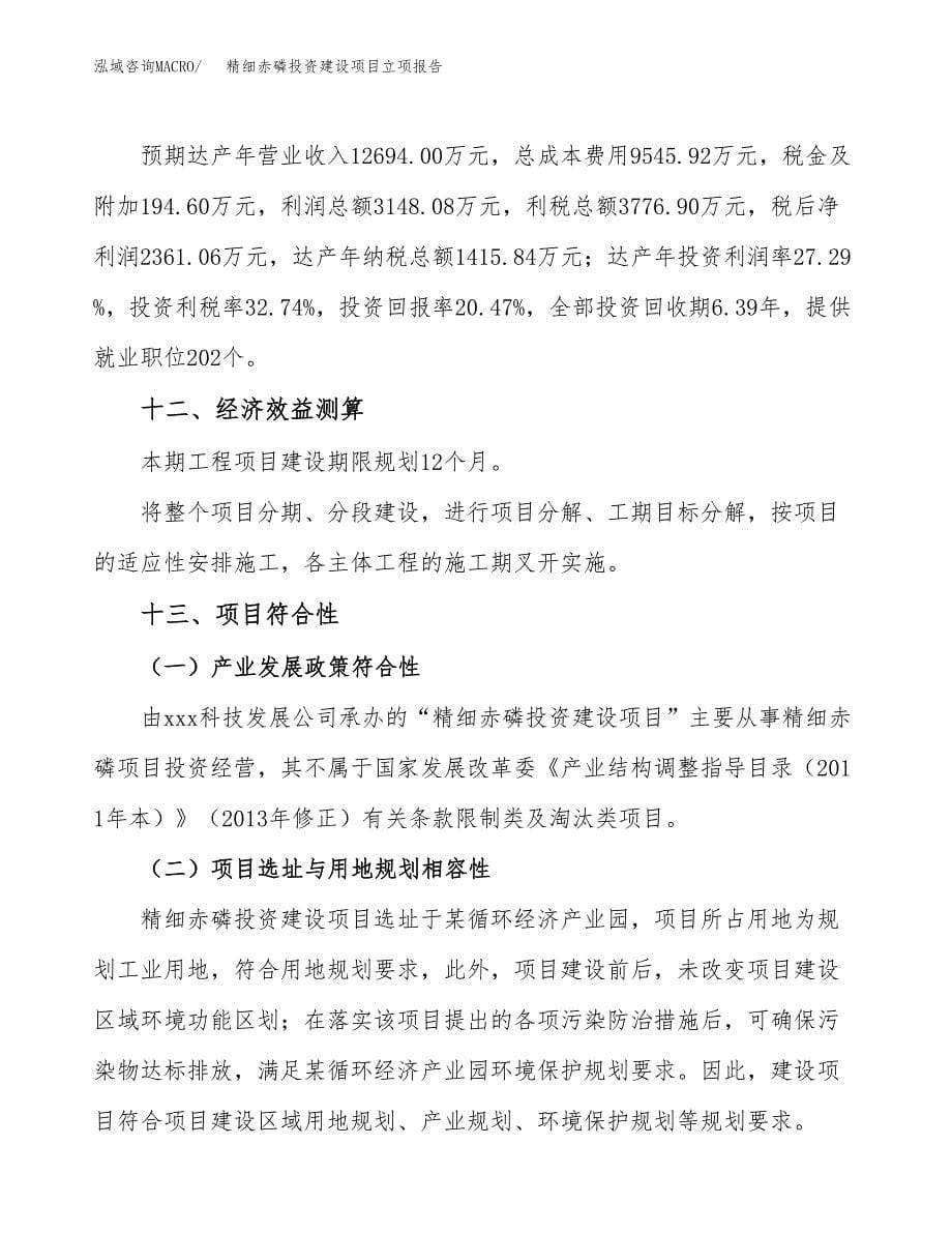 精细赤磷投资建设项目立项报告(规划申请).docx_第5页