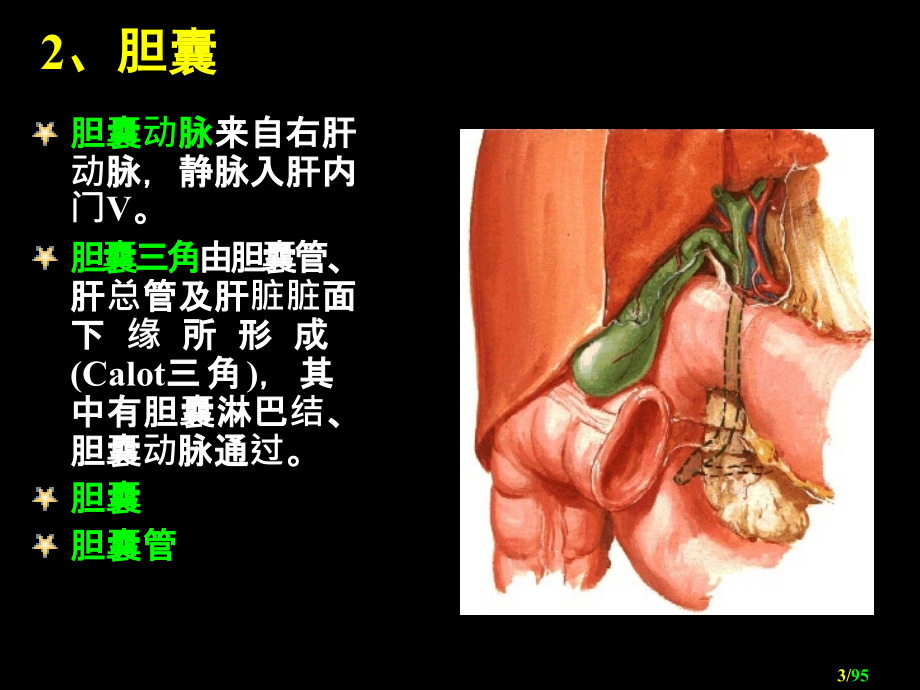 胆道外科cho_第3页