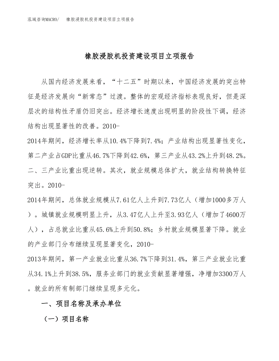 橡胶浸胶机投资建设项目立项报告(规划申请).docx_第1页