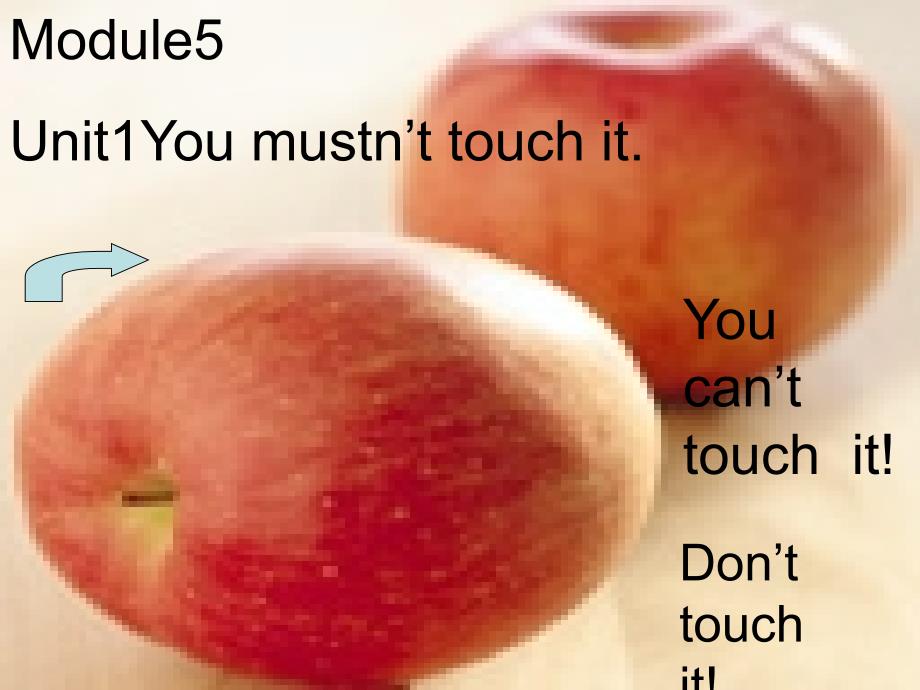 【5A文】You mustn't touch it_第1页