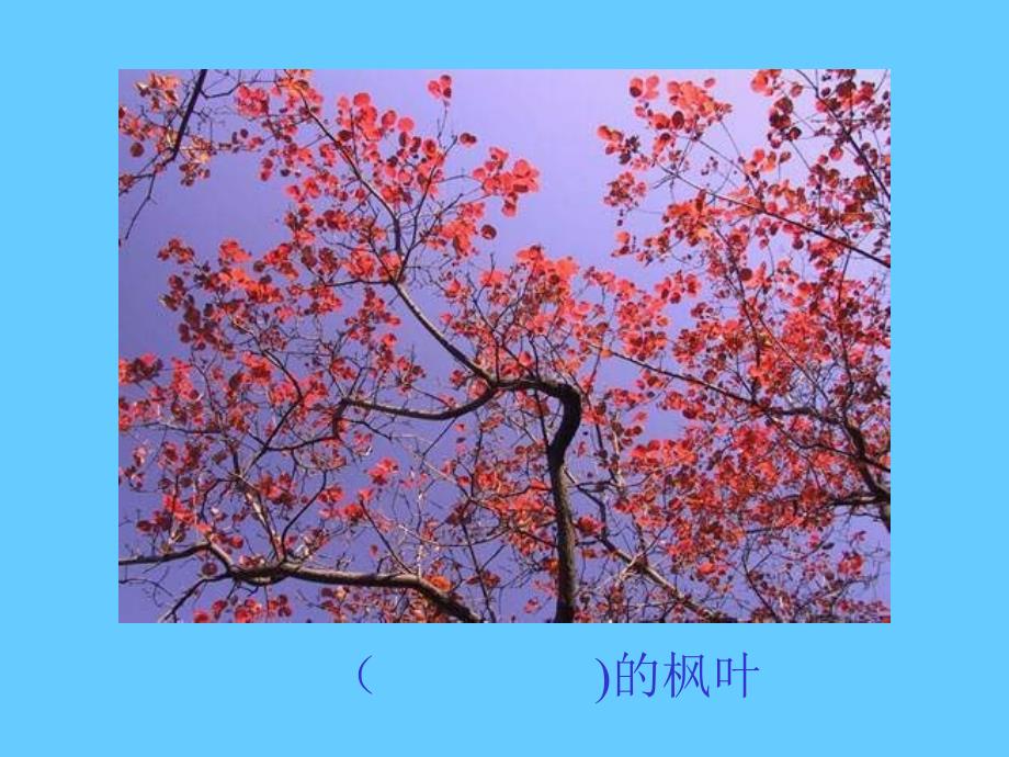 【5A文】二年级语文《蓝色的树叶》_第3页