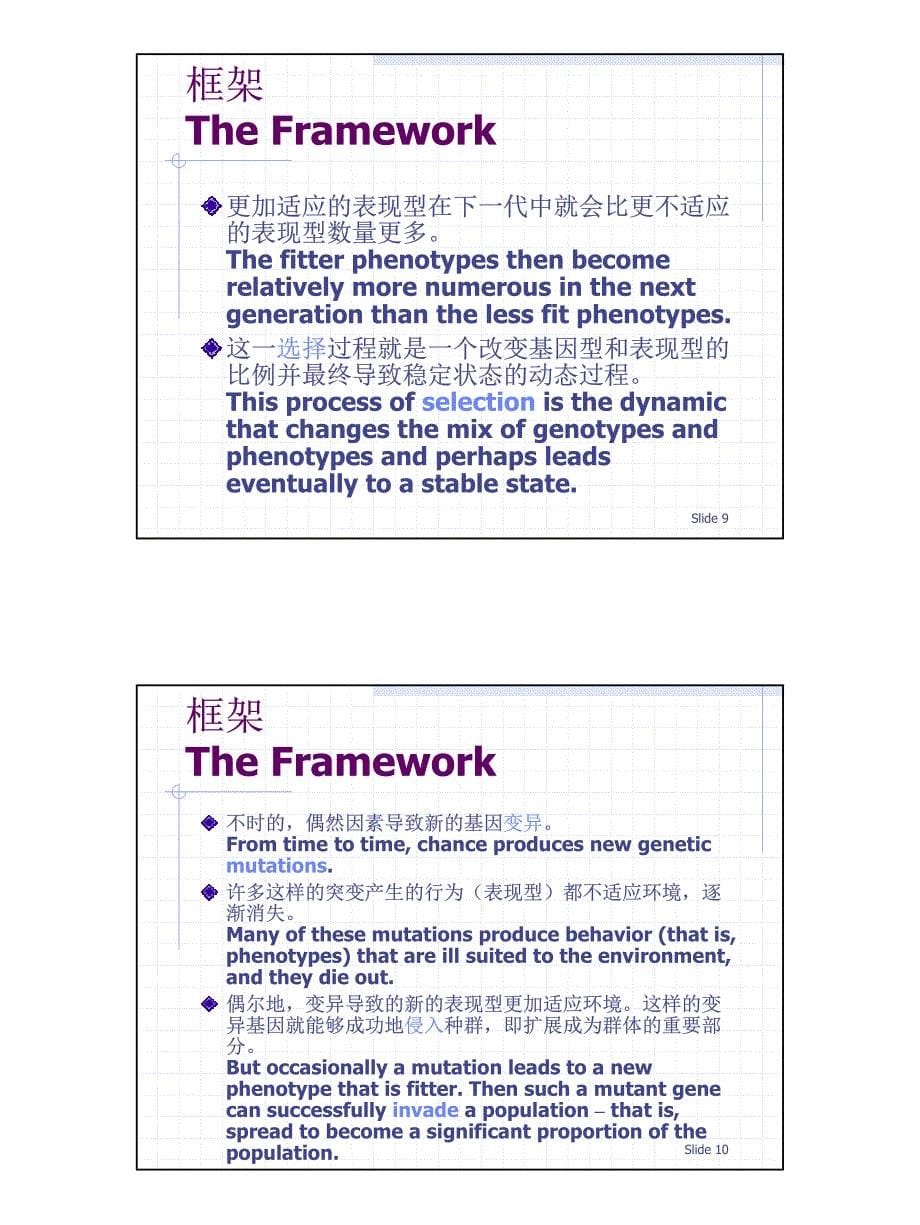 演化博弈论(清华大学)_第5页