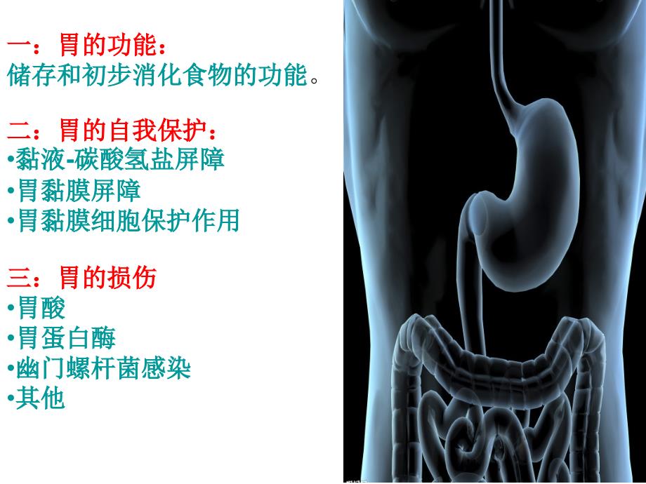 从胃的损伤与保护谈溃疡的形成与治疗_第3页