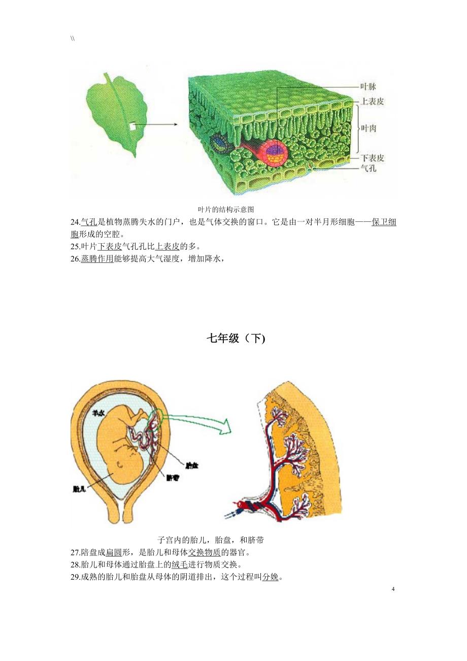 初级中学生物识图题全面解析(超全面.)_第4页