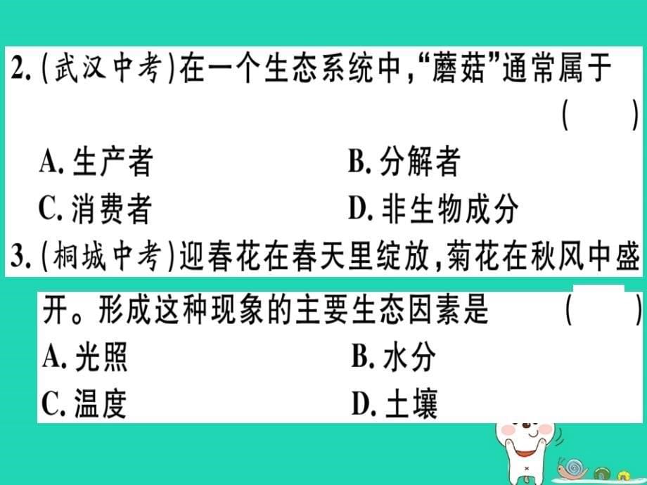 2019春八年级生物下册 第8单元生物与环境小结与复习习题课件 （新版）北师大版_第5页