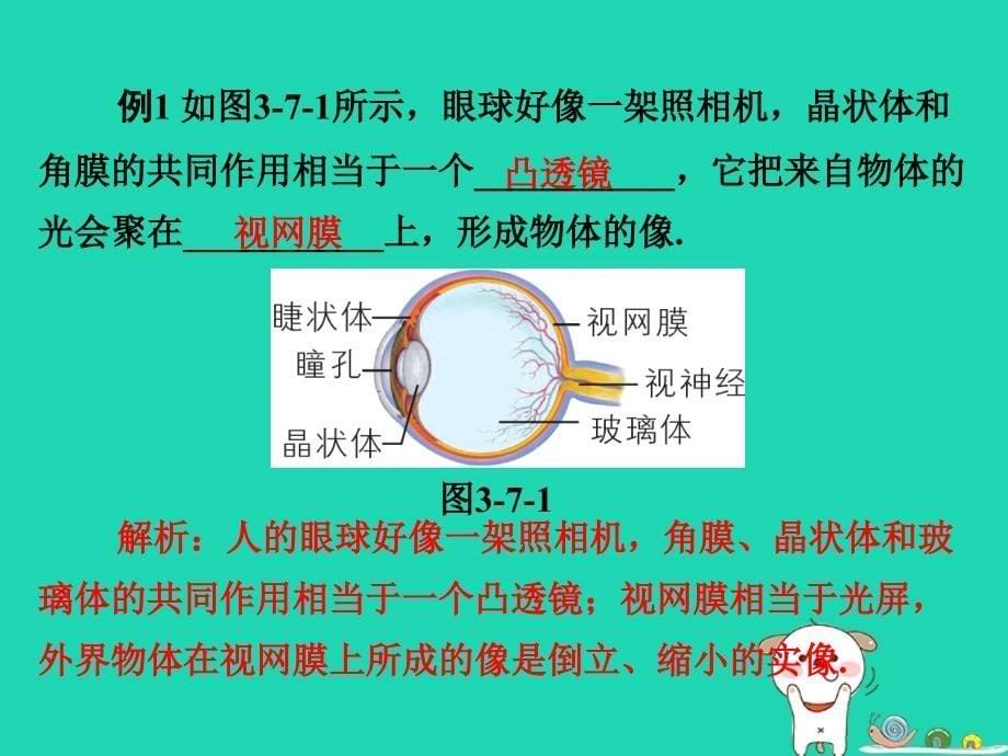 八年级物理上册 3.7 眼睛和光学仪器课件 （新版）粤教沪版_第5页