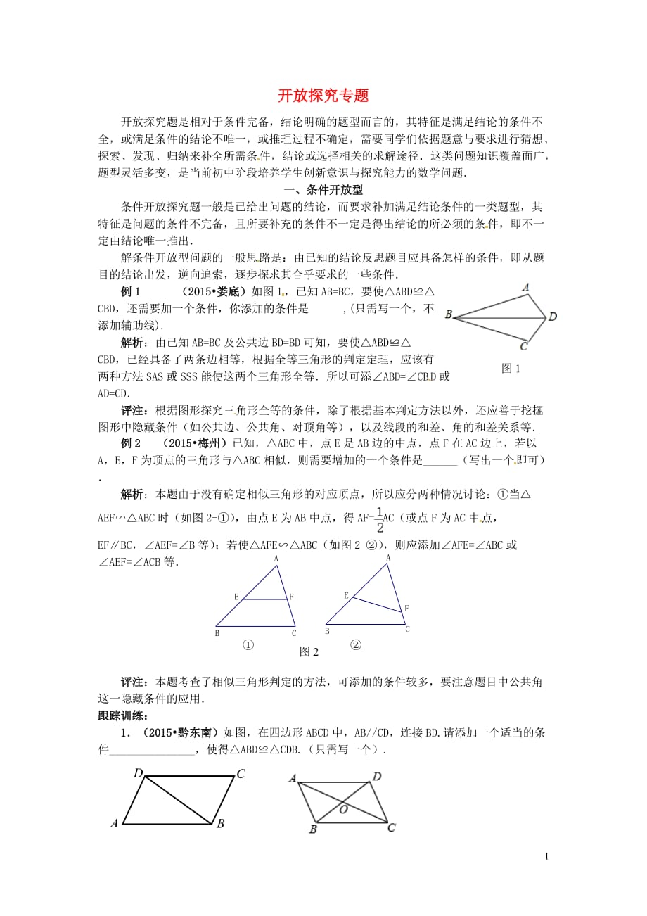 中考数学复习 开放探究专题_第1页