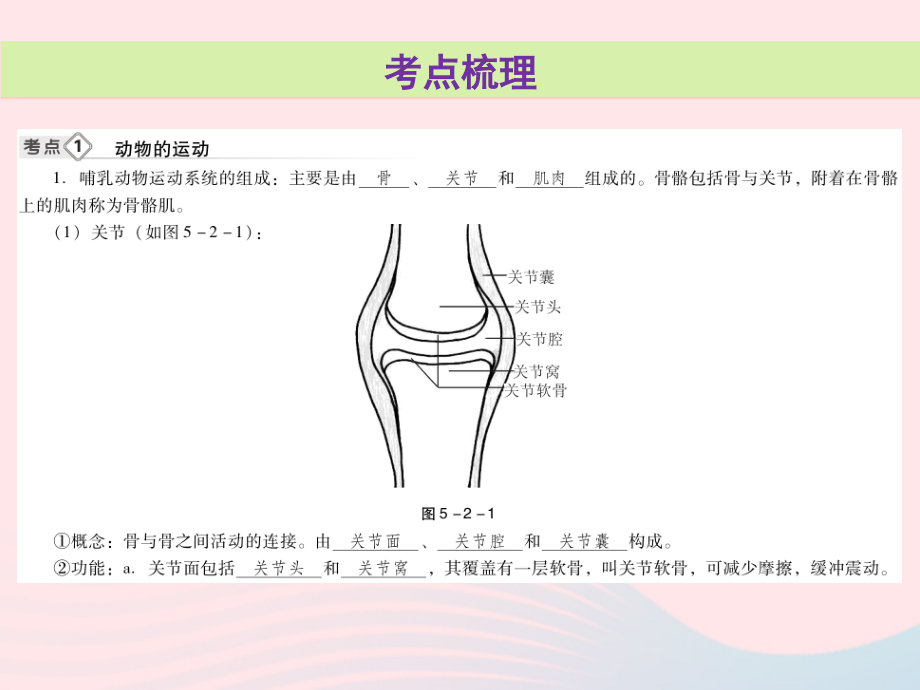 2019年中考生物总复习 第五单元 第二章 第三章 第三章 动物在生物圈中的作用课件_第3页