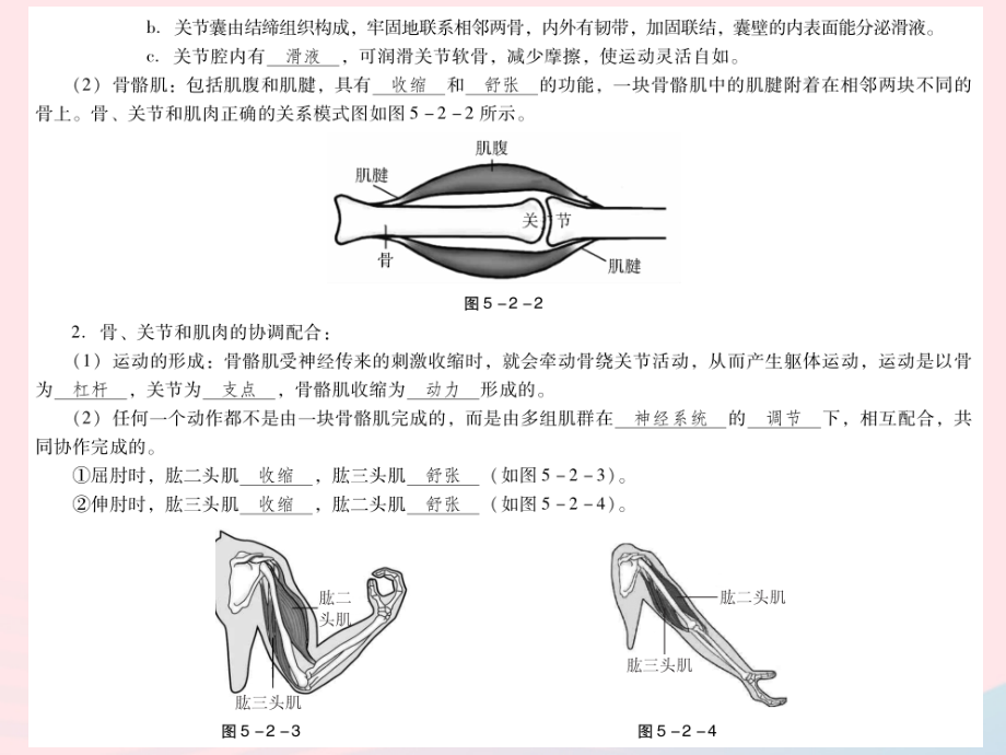 2019年中考生物总复习 第五单元 第二章 第三章 第三章 动物在生物圈中的作用课件_第4页