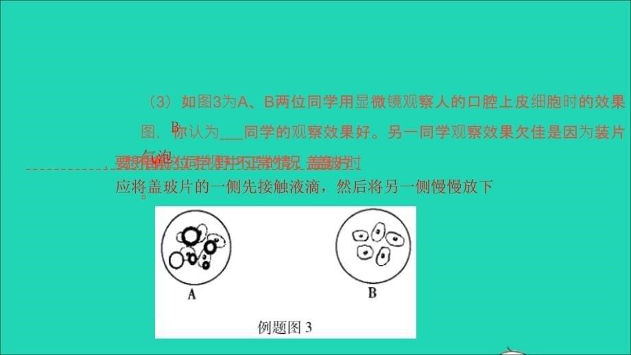 2019中考生物总复习 第二部分 重点题型探究 题型一 实验题 观察实验课件_第5页