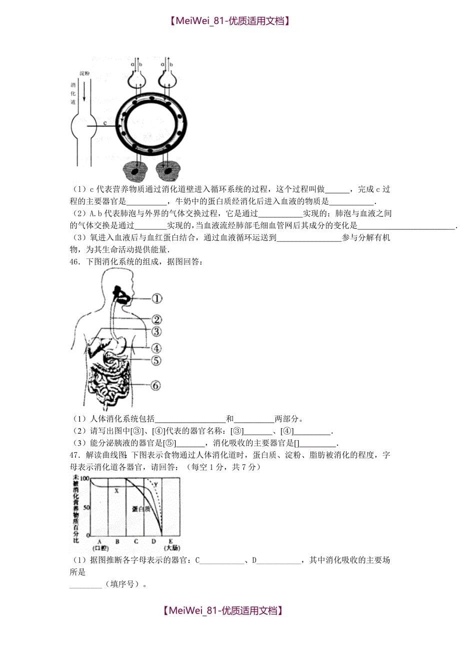 【6A文】中考生物消化和吸收复习试卷及答案_第5页