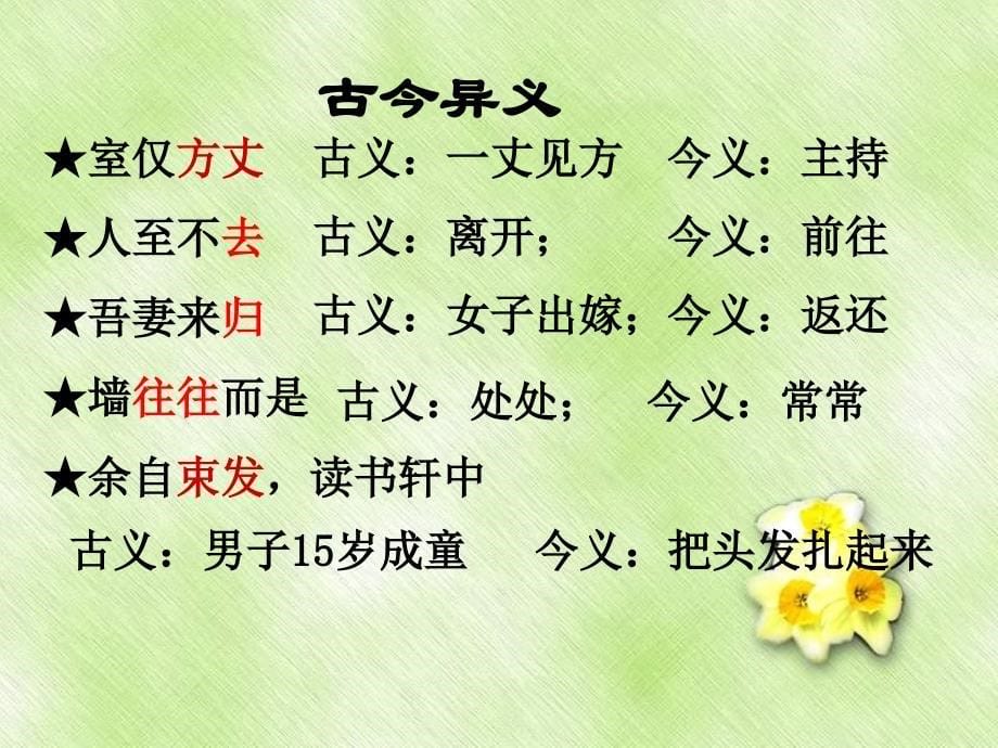 《项脊轩志》知识点复习课_第5页