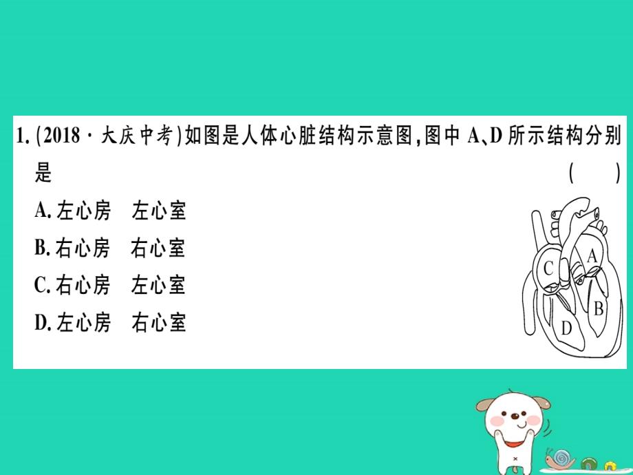 2019七年级生物下册 第四单元 第四章 第三节 输送血液的泵&mdash;&mdash;心脏（第1课时 心脏的结构和功能）习题课件 （新版）新人教版_第4页