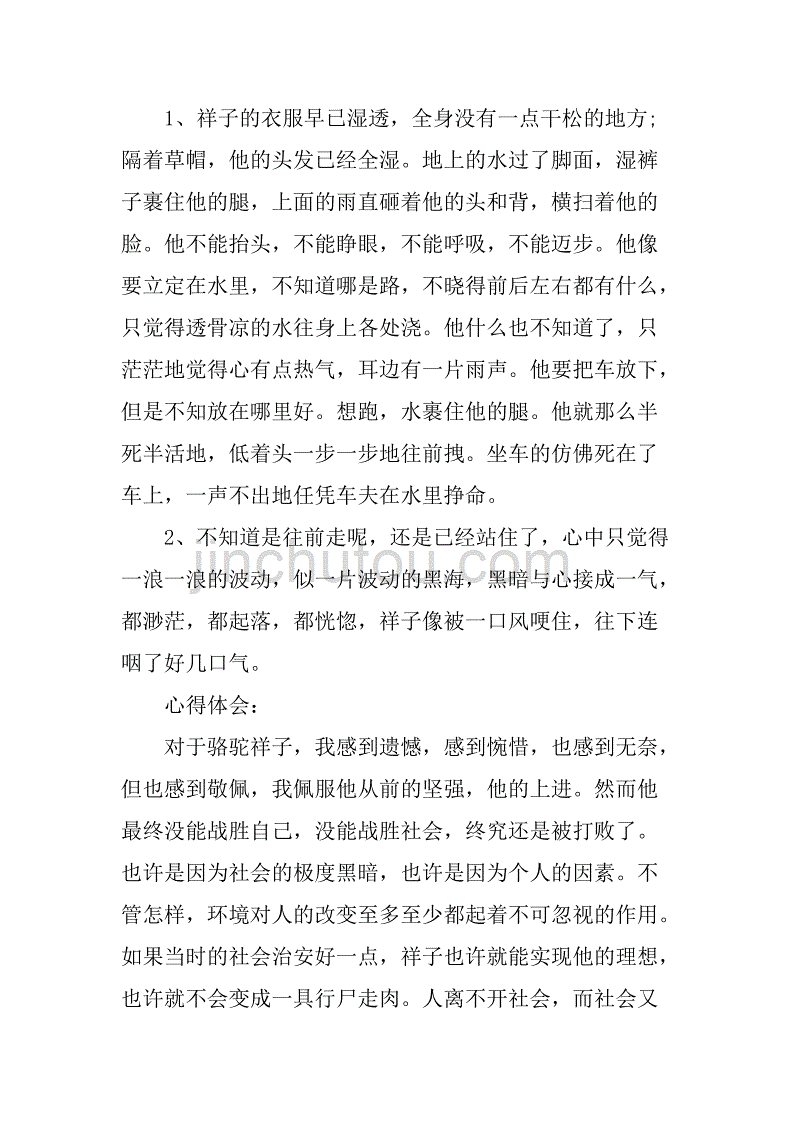 骆驼祥子读书笔记10篇300字.doc_第4页