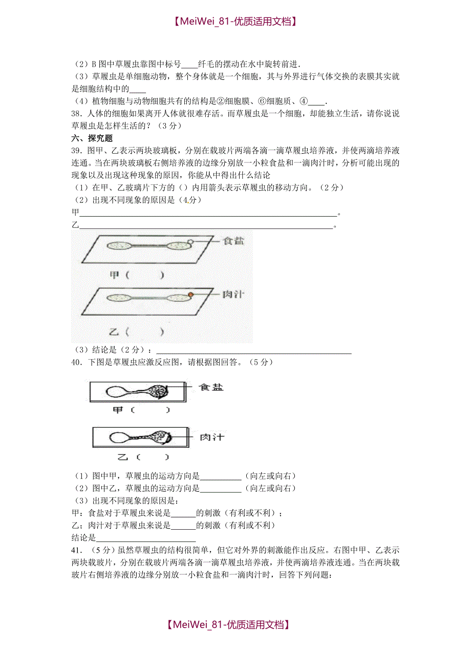 【6A文】中考生物-只有一个细胞的生物体复习试卷及答案_第4页