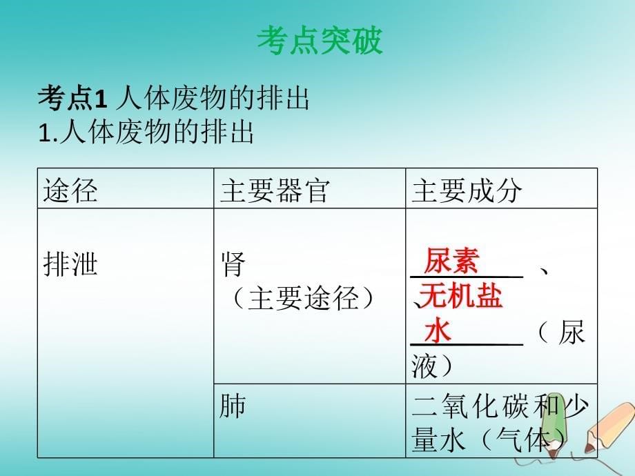 2019年中考生物 第四单元 第五章 人体内废物的排出复习课件_第5页