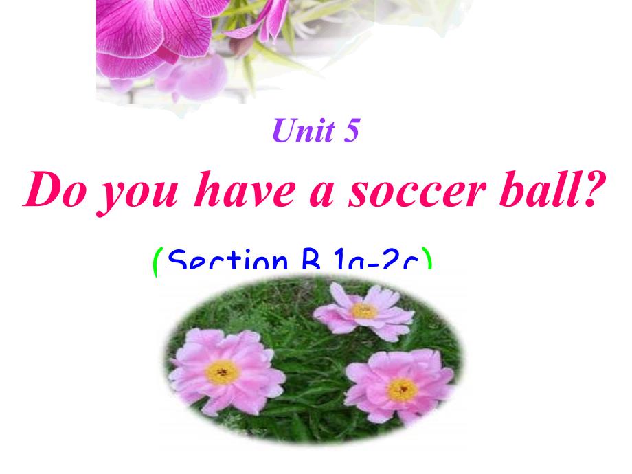 【5A文】七年级英语Do you have a soccer ball示范课件_第1页