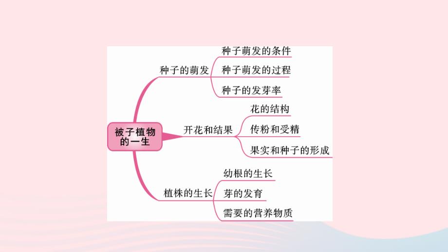 2019中考生物总复习 第一部分 基础考点巩固 第三单元 生物圈中的绿色植物 第二章 被子植物的一生课件_第2页