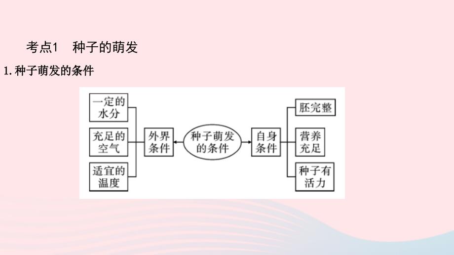 2019中考生物总复习 第一部分 基础考点巩固 第三单元 生物圈中的绿色植物 第二章 被子植物的一生课件_第3页