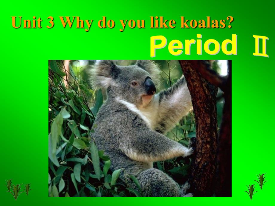 【5A文】Why do you like koalas课件16_第1页