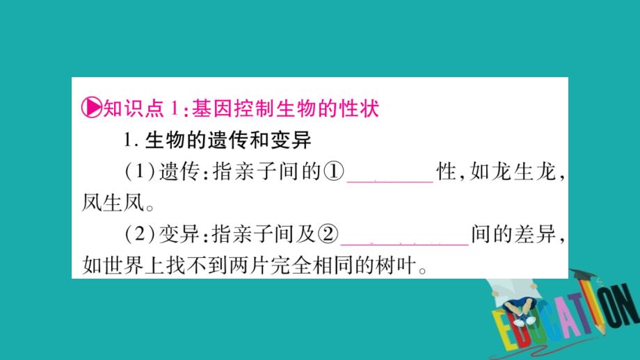 2018中考生物总复习 教材考点梳理 八下 第7单元 第2章 生物的遗传与变异课件 新人教版_第2页