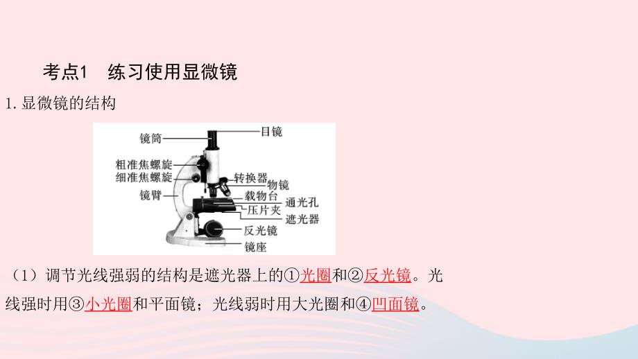 2019中考生物总复习 第一部分 基础考点巩固 第二单元 生物体的结构层次 第一章 细胞是生命活动的基本单位课件_第3页