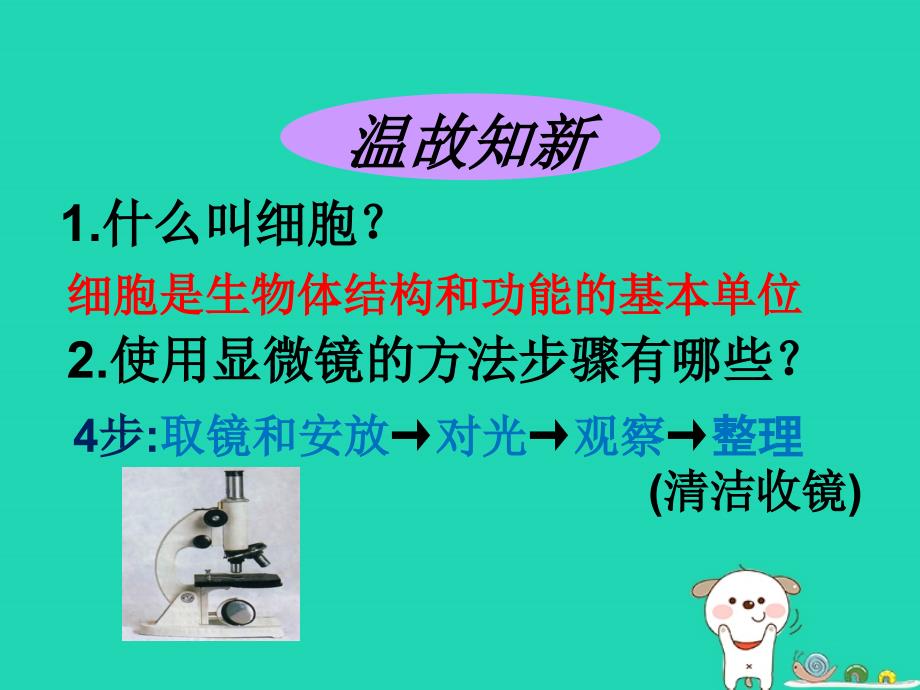 2018-2019年七年级生物上册 第二单元 第一章 第二节植物细胞课件 （新版）新人教版_第2页