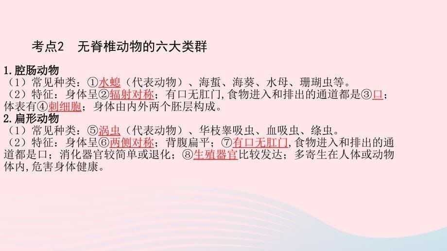 2019中考生物总复习 第一部分 基础考点巩固 第五单元 生物圈中的其他生物 第一章 动物的主要类群课件_第5页