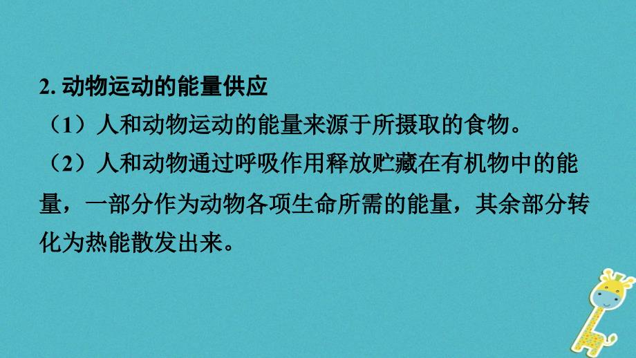 2018年中考生物 八上 第6单元 动物的运动和行为复习课件_第4页