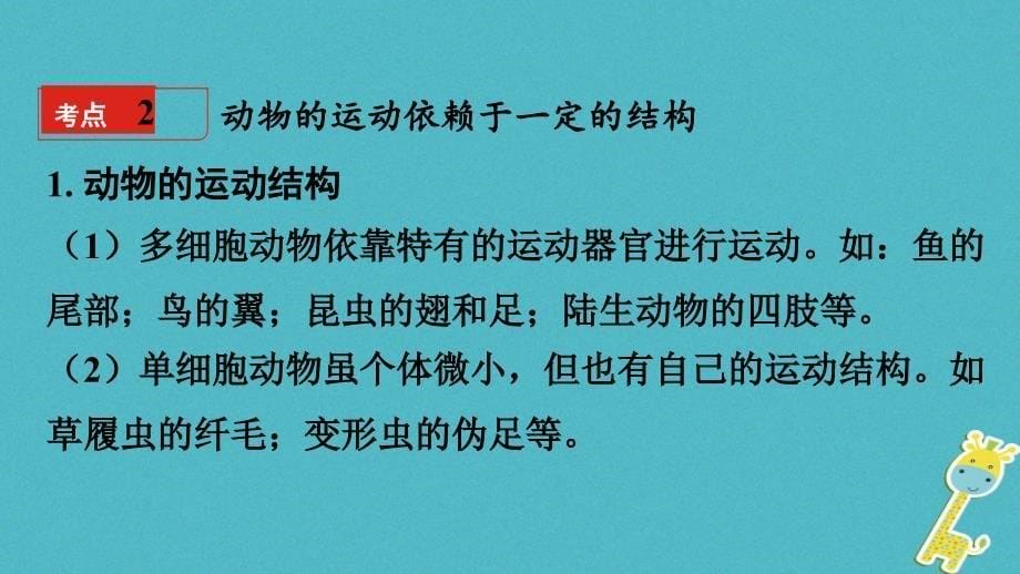 2018年中考生物 八上 第6单元 动物的运动和行为复习课件_第5页