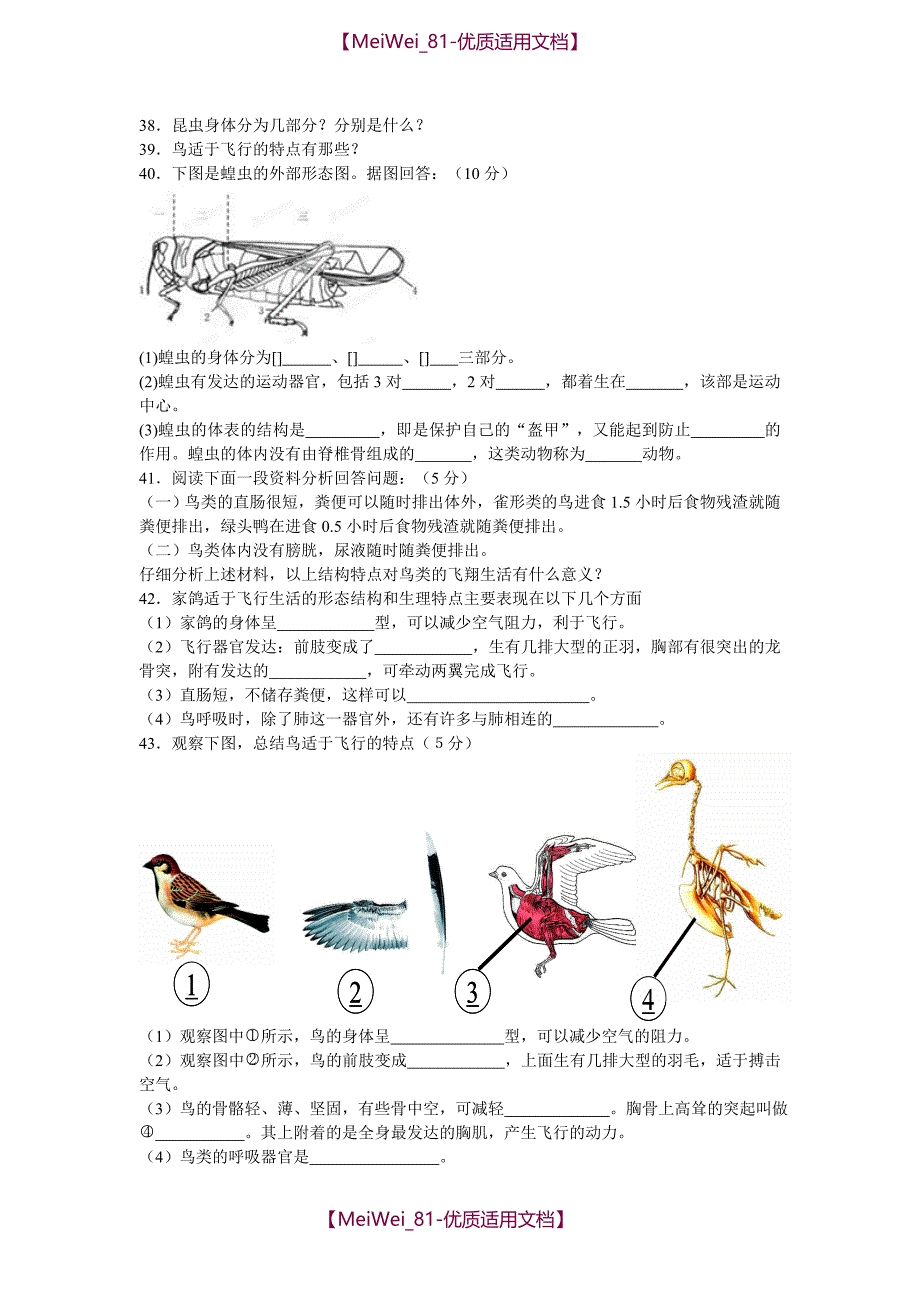 【6A文】中考生物空中飞行的动物复习试卷及答案_第3页