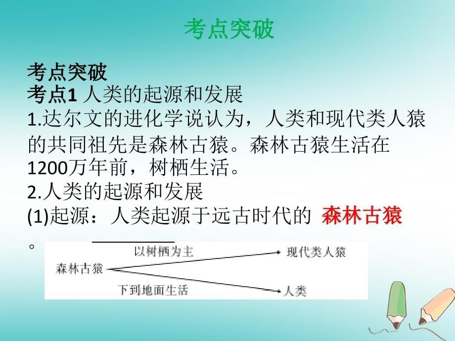 2019年中考生物 第四单元 第一章 人的由来复习课件_第5页