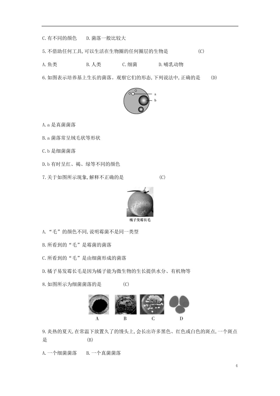 2018年秋八年级生物上册 5.4.1 细菌和真菌的分布学案 （新版）新人教版_第4页