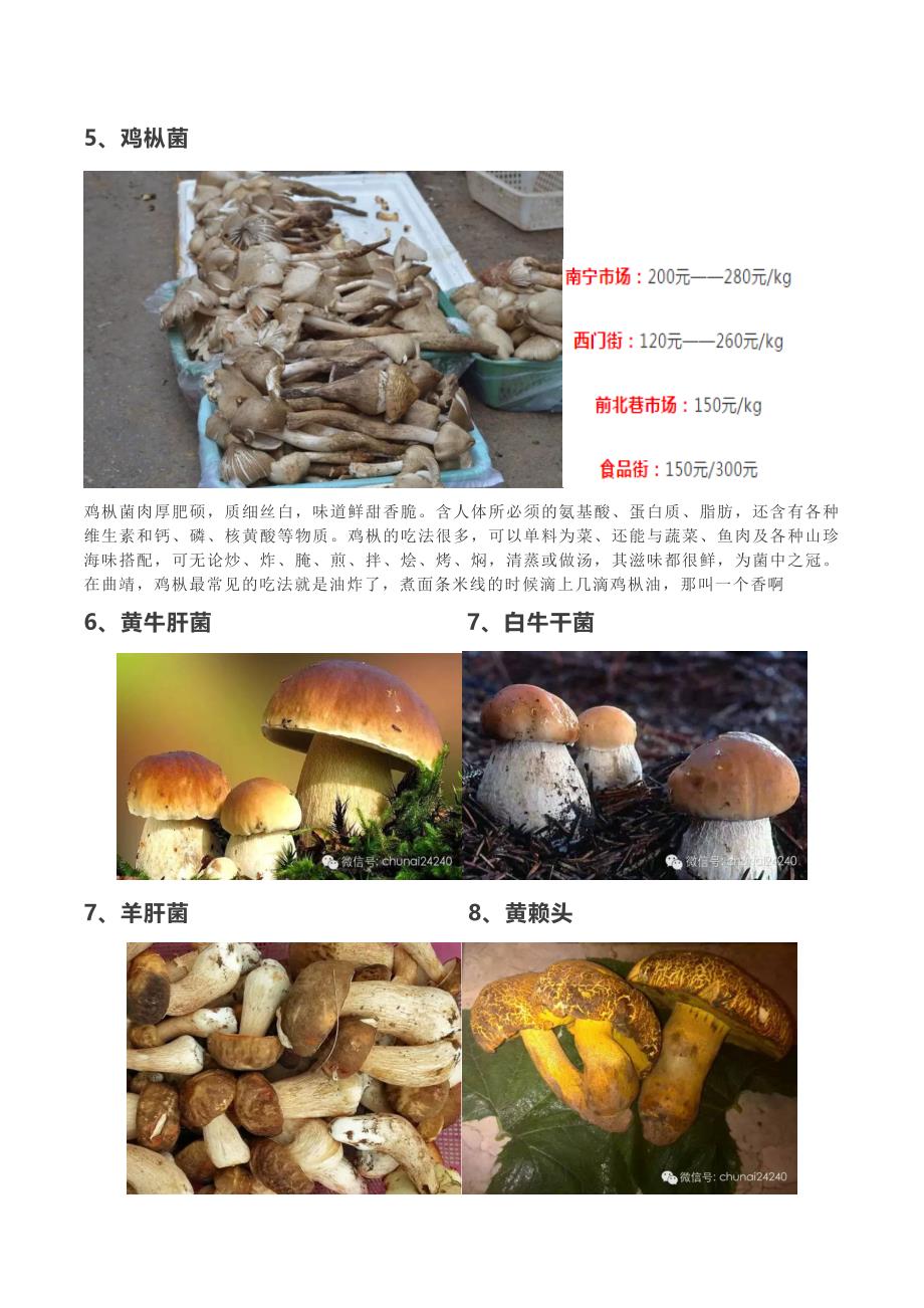 云南野生菌图片、做法、价格、采摘区域大全.doc_第3页