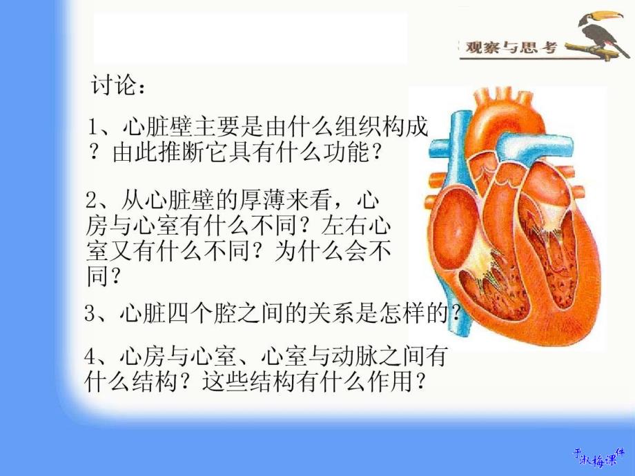 教学目标1知识目标(1)描述心脏的结构及功能(2)概_第3页