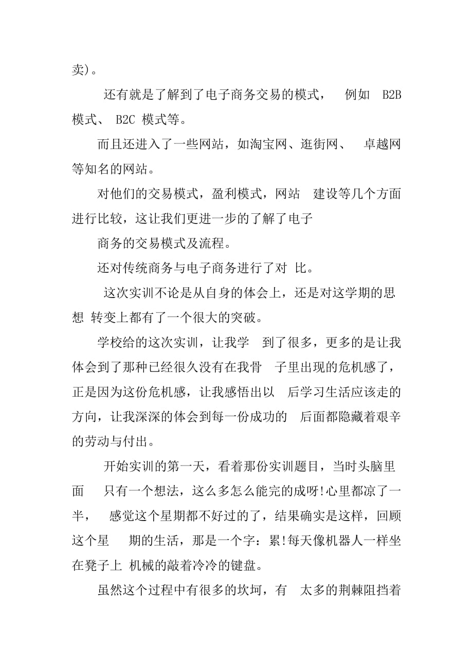 实训心得体会总结实训总结及心得体会市场营销实训总结心得体会_第2页