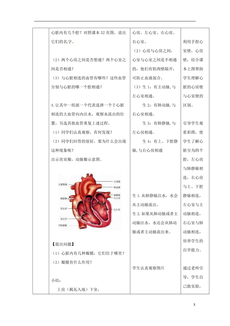 2018七年级生物下册 3.3.2物质运输的器官教学设计 （新版）济南版_第3页