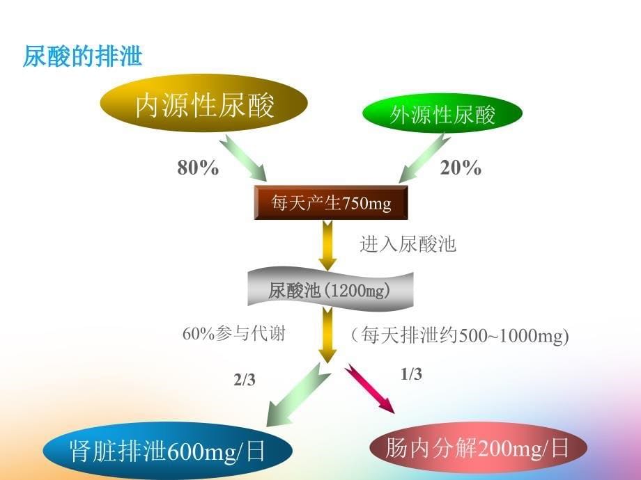 高尿酸血症与痛风的饮食管理概述_第5页