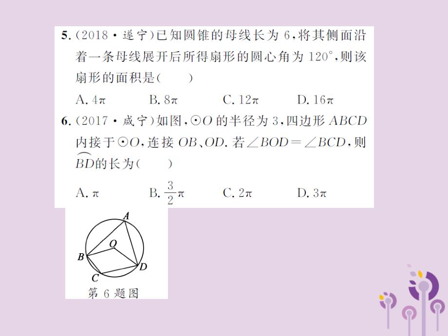 2019届中考数学总复习 第六章 圆 第三节 与圆有关的计算课件_第4页