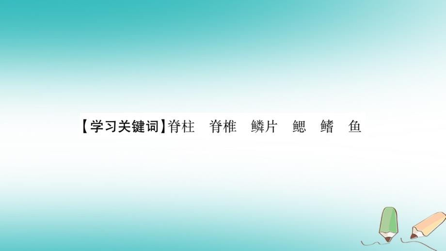 2018秋八年级生物上册 第5单元 第1章 第4节 鱼习题课件 （新版）新人教版_第2页