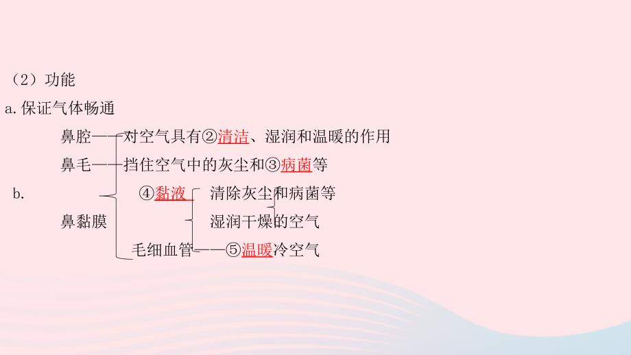 2019中考生物总复习 第一部分 基础考点巩固 第四单元 生物圈中的人 第三章 人体的呼吸课件_第4页