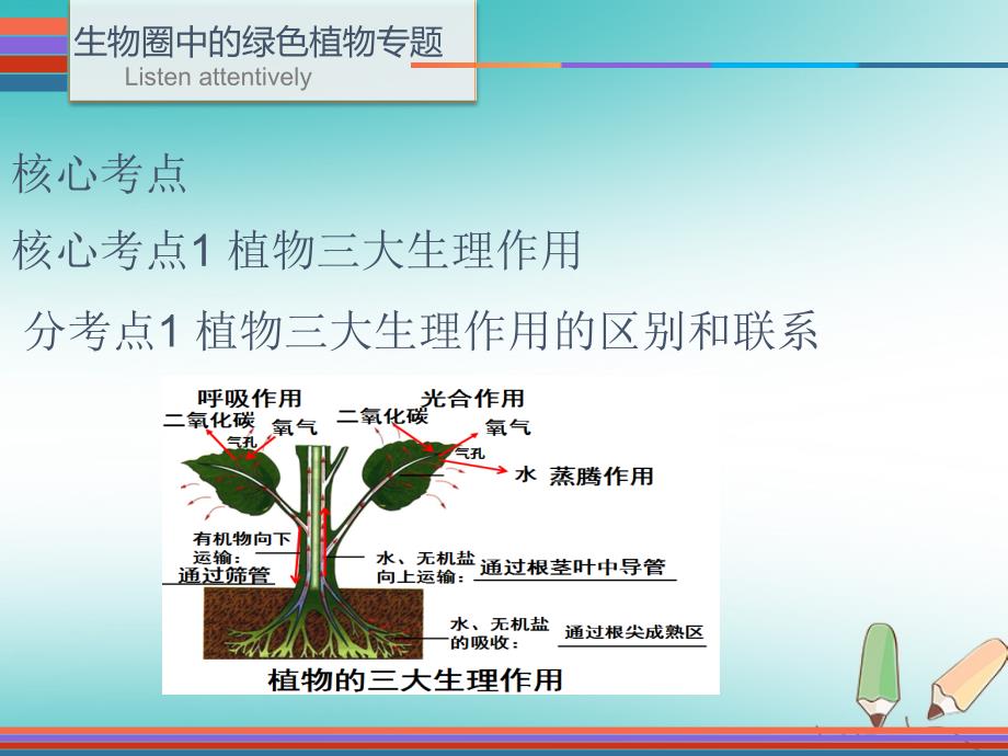 2019年中考生物 第九单元 五 生物圈中的绿色植物专题复习课件_第3页