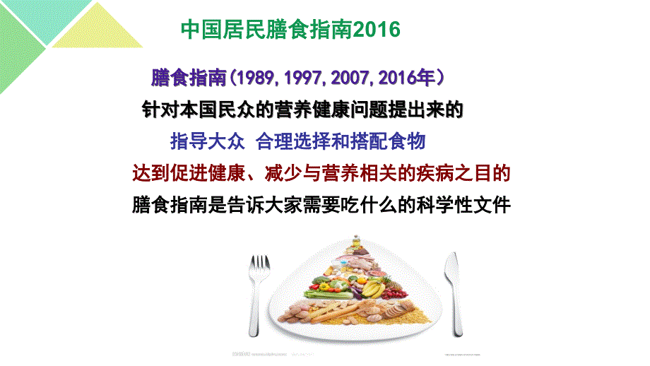 中国居民膳食指南2016【精品】_第2页