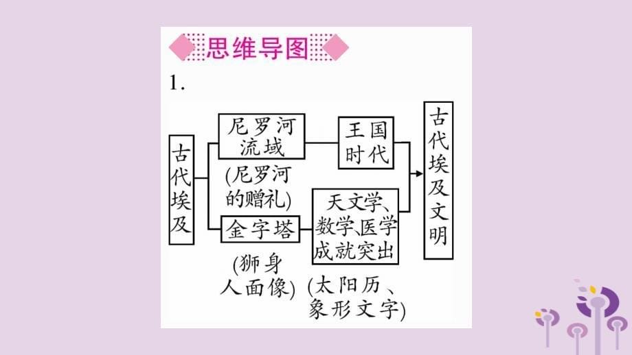 2019年秋九年级历史上册 第1单元 古代亚非文明 第1课 古代埃及习题课件 新人教版_第5页