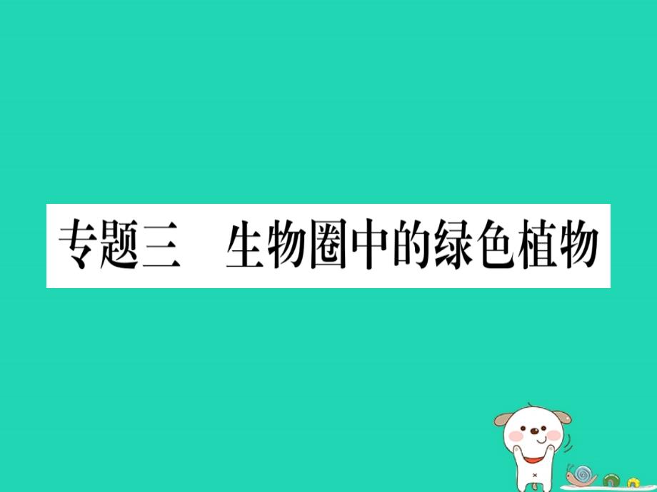 2019年中考生物 专题综合突破3 生物圈中的绿色植物复习课件 冀教版_第1页