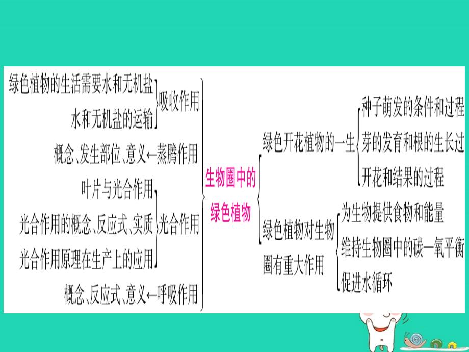 2019年中考生物 专题综合突破3 生物圈中的绿色植物复习课件 冀教版_第2页