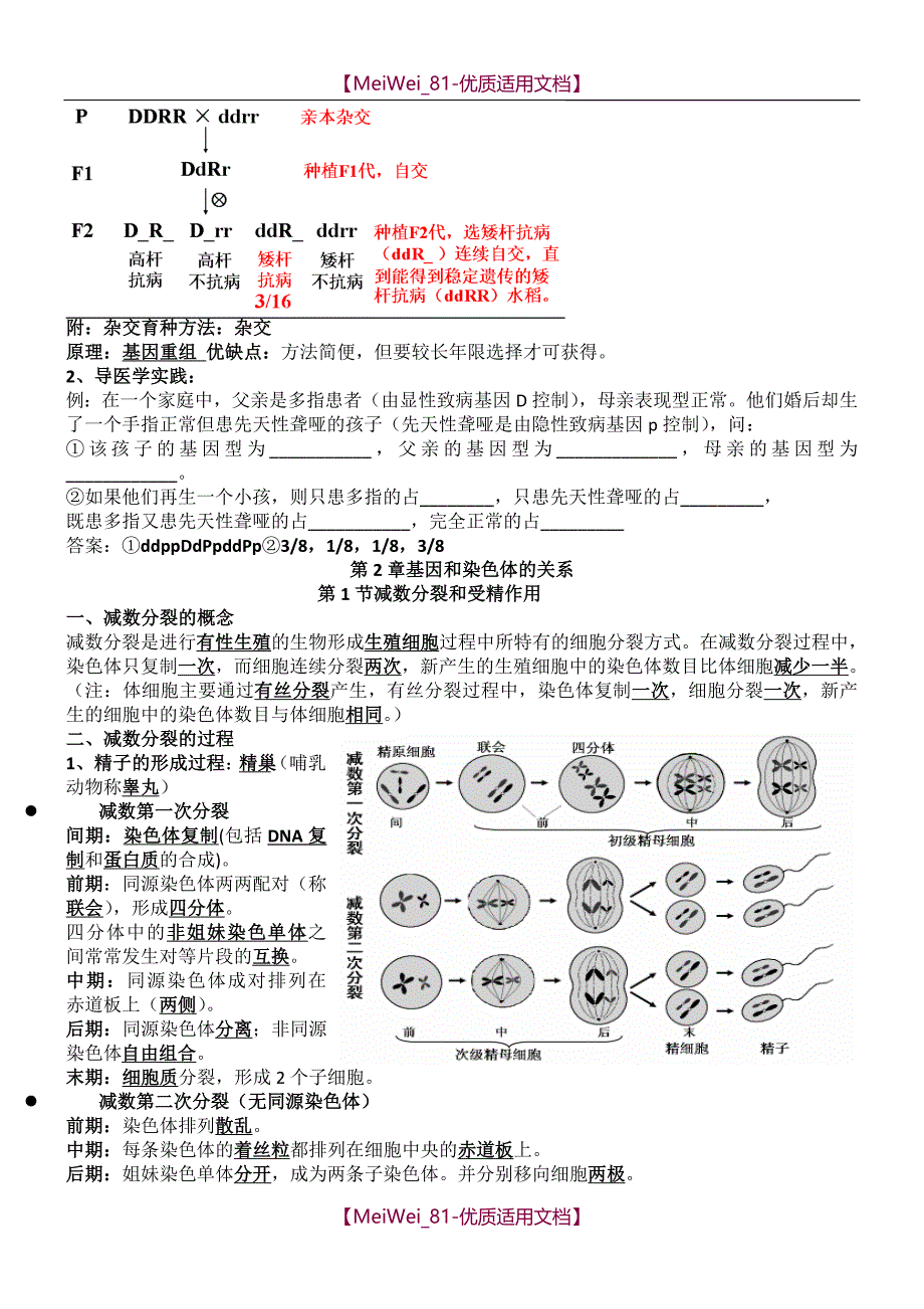 【7A文】高中生物必修二知识点_第3页