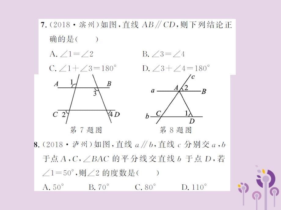 2019届中考数学总复习 第四章 图形的初步认识与三角形 第一节 角、相交线与平行线课件_第5页